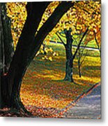 Autumn Colours Metal Print