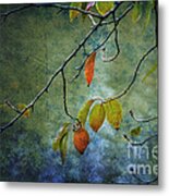 Autumn Colours Metal Print