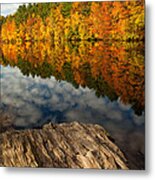 Autumn Day Metal Print