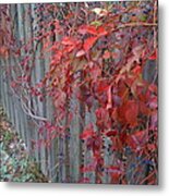 Autumn Fence Metal Print