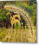 Autumn Grass Metal Print