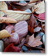 Autumn Greatness Metal Print