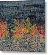 Autumn Impressionism Metal Print