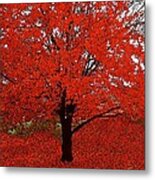 Red Tree Impressions #1 Red Metal Print