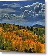 Autumn In Colorado Metal Print