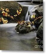 Autumn In Hackelbarney Ii Metal Print