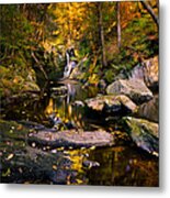 Autumn Is Calling Metal Print