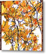 Autumn Leaves 4 Metal Print
