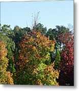 Autumn Leaves Metal Print