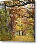 Autumn Nature Trail Metal Print