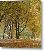 Autumn On Moenchsberg In Salzburg Metal Print