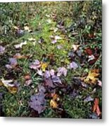 Autumn Path Metal Print