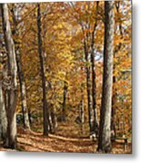 Autumn Path Metal Print