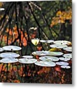 Autumn Reflection Metal Print