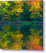 Autumn Reflections Metal Print