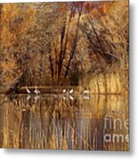 Autumn Reflections Metal Print