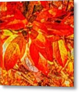 Autumn Rhododendron Leaves Bright Metal Print