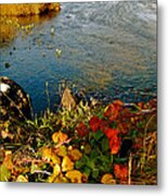 Autumn River Metal Print