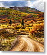 Autumn Road Metal Print