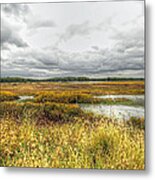 Autumn Salt Marsh - Bombay Hook National Wildlife Refuge - Delaware - Usa Metal Print