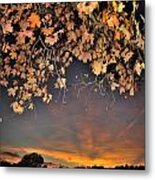 Autumn Sky And Leaves 1 Metal Print