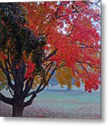 Autumn Splendor Metal Print