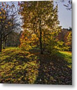 Autumn Stroll V3 Metal Print