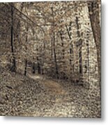 Autumn Trail Metal Print