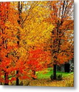 Autumn Trees By Barn Metal Print