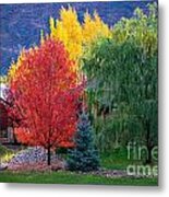 Autumn Trio Metal Print