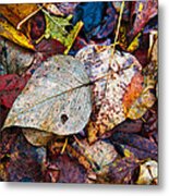 Autumn's Floor Covering Metal Print