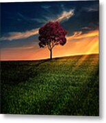 Awesome Solitude Metal Print