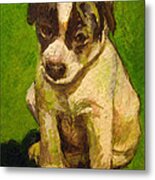 Baby Jack Russel Metal Print