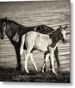 Baby Mine Metal Print