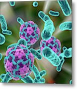 Bacteria And Hepatitis A Virus Metal Print