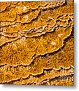 Bacterial Mat - 9 Metal Print