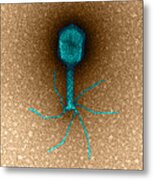 Tem Bacteriophage T4 Metal Print