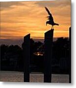 Balance - A Seagull Sunset Silhouette Metal Print