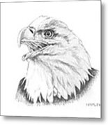 Bald Eagle Metal Print