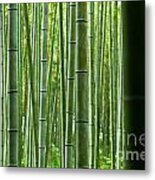 Bamboo Forest Metal Print