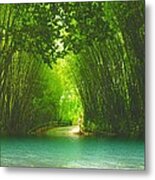 Bamboo Path To  Blue Lagoon Metal Print