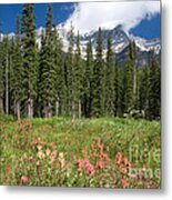 Banff Wildflowers Metal Print