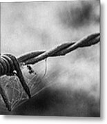 Barbwire And Spider's Web Black And White Metal Print