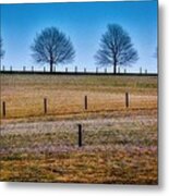 Bare Trees And Fence Posts Metal Print