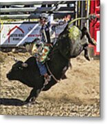 Bareback Bull Riding Metal Print