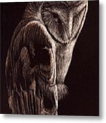 Barn Owl Metal Print