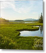 Bass Harbor Marsh At Dusk Metal Print