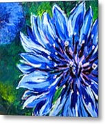 Batchelor Button Flower Metal Print