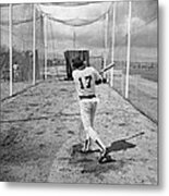 Batting Cage Metal Print