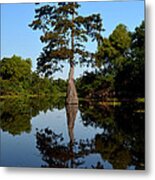 Southern Louisiana Bayou Reflections Metal Print